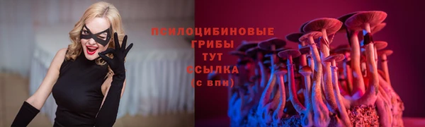 амф Армянск