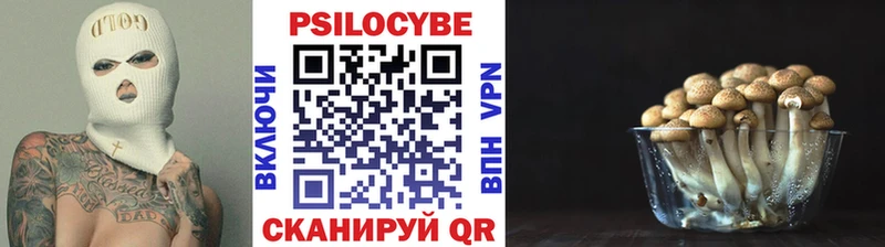 Галлюциногенные грибы MAGIC MUSHROOMS  Людиново 